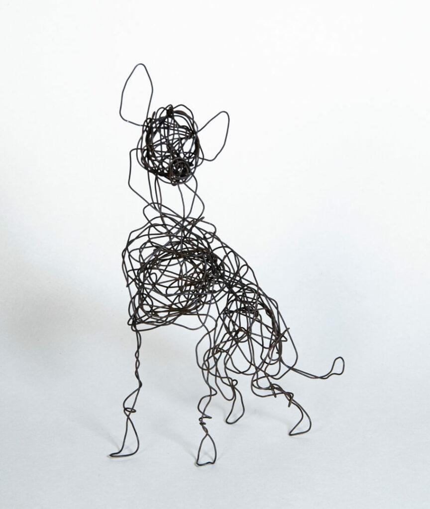 zoogestalten header