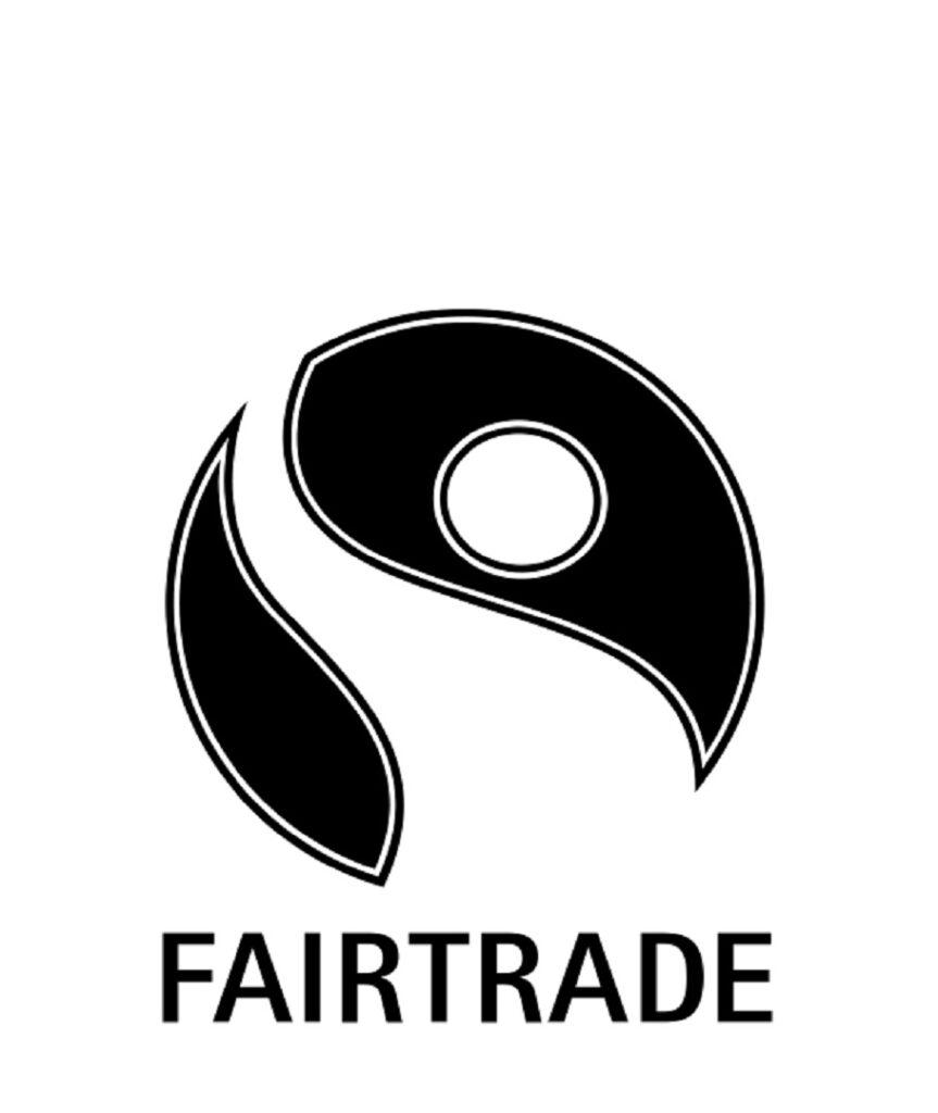 ft logo sw