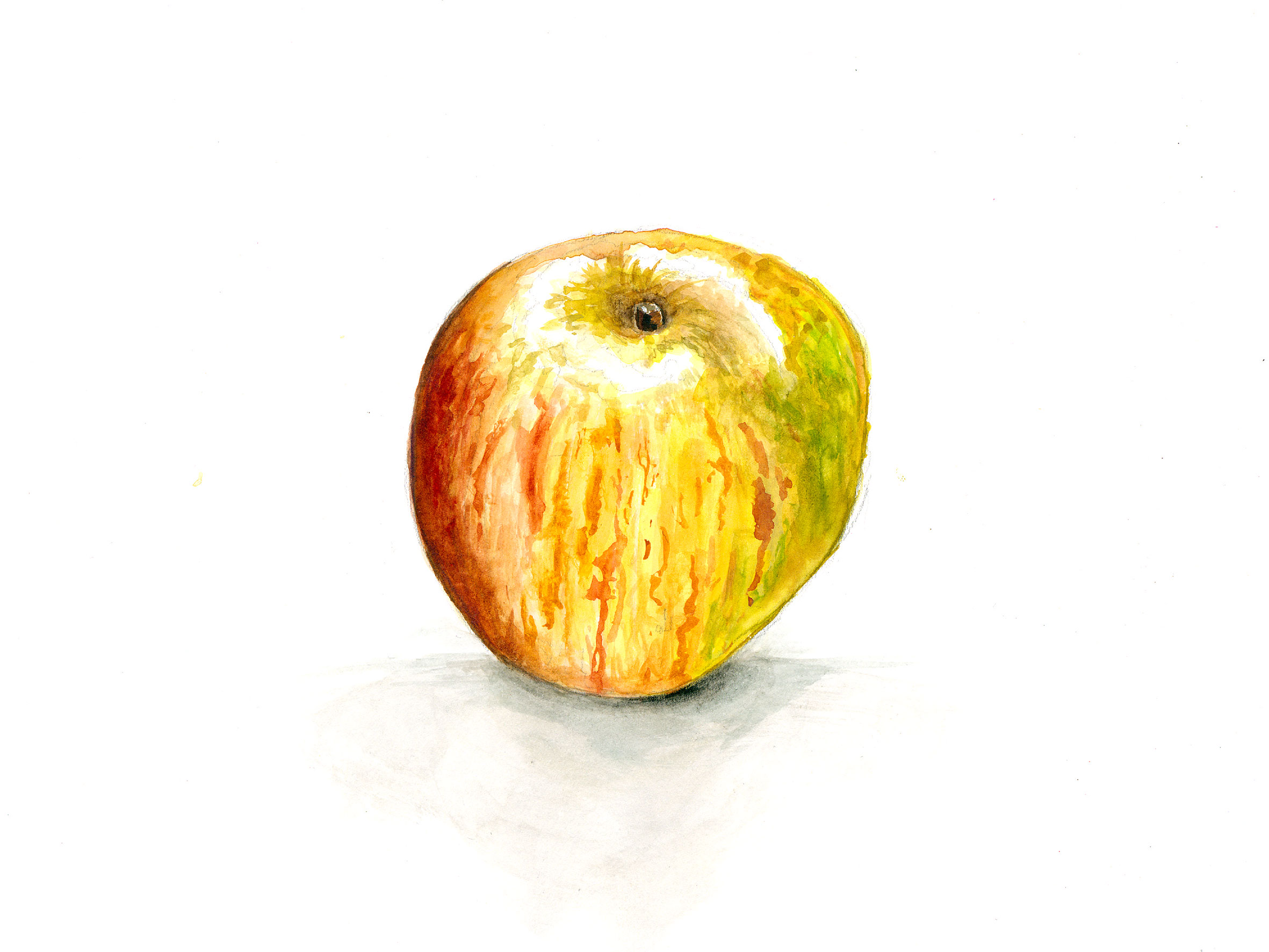Apfel LaciAnjeza2
