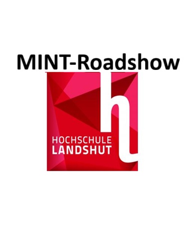 Logo Mint Roadshow2 1
